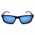 Cat sunglass
